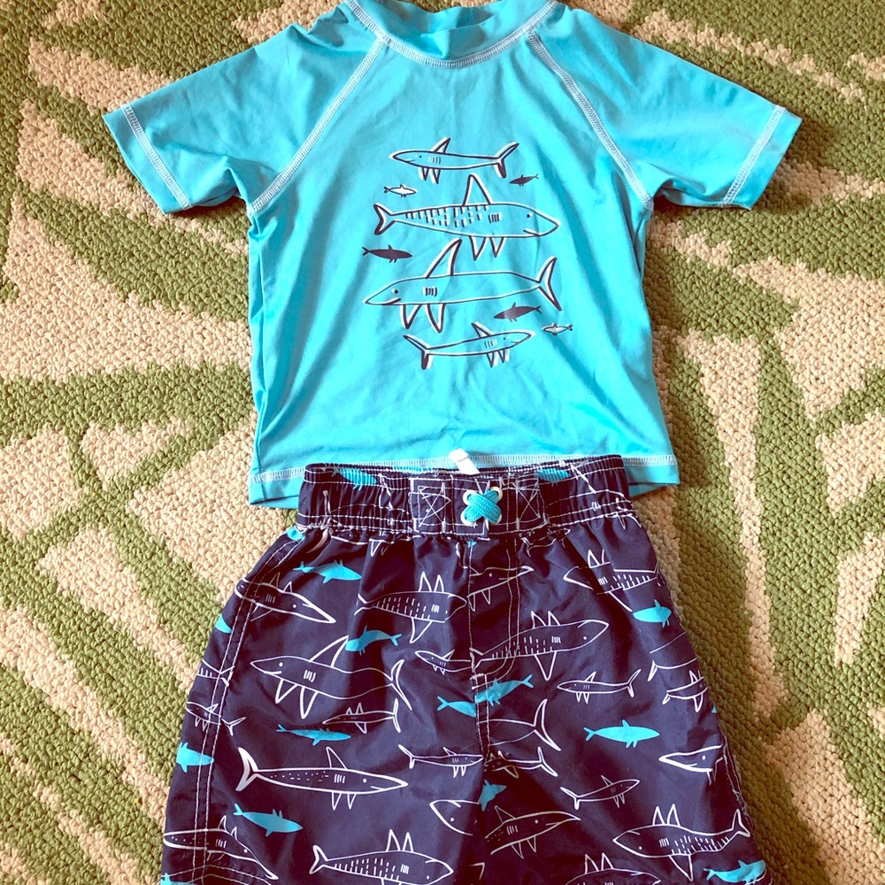 Boys 2t swimwear
